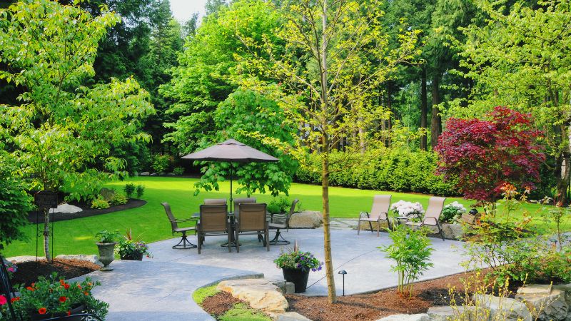 10 Tips for Maintaining Healthy Trees in Your Yard