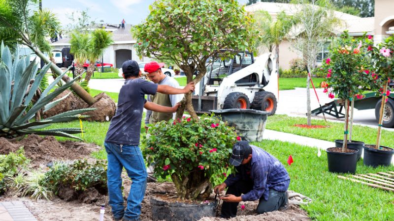 9 Tree Care Tips for Urban Environments